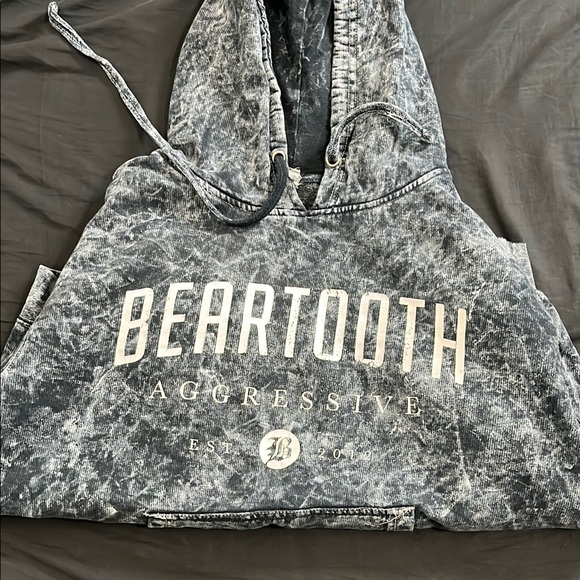 Beartooth Other - Beartooth Aggressive Hoodie